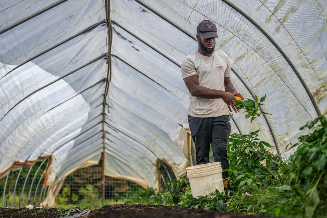 Productor revisando el cultivo y anotando lo que observa
